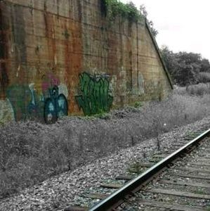 Meet your Posher, Jayla